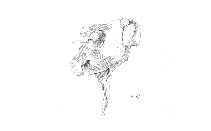 unbenannt-2_0001s_0001_gans0002