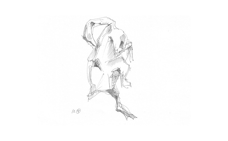 unbenannt-2_0001s_0002_gans0001