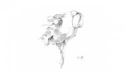 unbenannt-2_0001s_0001_gans0002